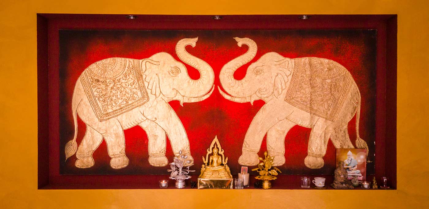 GoldElephant – Cover